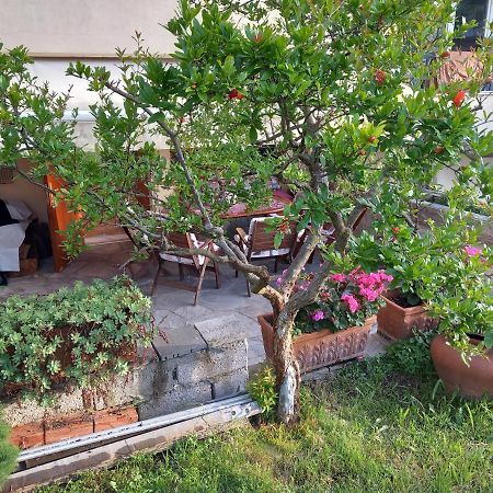 Στουντιο Κοντά Στην Κλινική Αγ Λουκα Thessaloniki Exterior photo